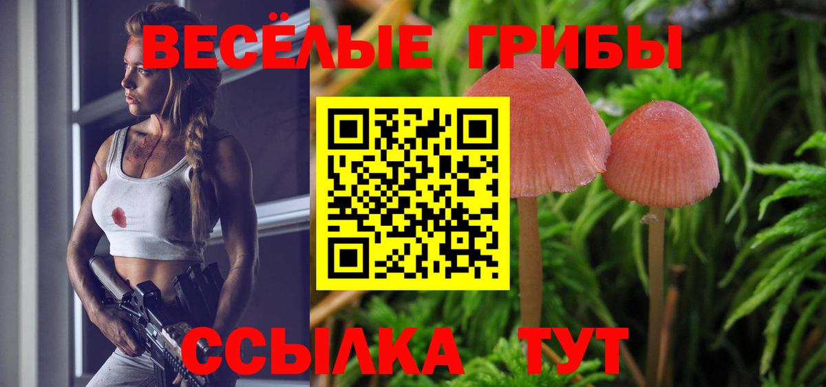 Галлюциногенные грибы прущие грибы Бугуруслан