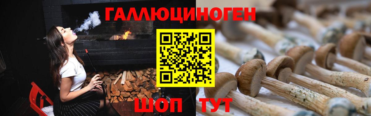 Бугуруслан  продажа наркотиков  Вход с VPN  Псилоцибиновые грибы GOLDEN TEACHER 